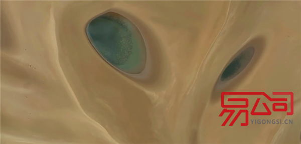 2022年乌鲁木齐注册公司的流程(新疆沙漠雨后出现一张“狐狸脸”) 2022年乌鲁木齐注册公司的流程(新疆沙漠雨后出现一张“狐狸脸”)