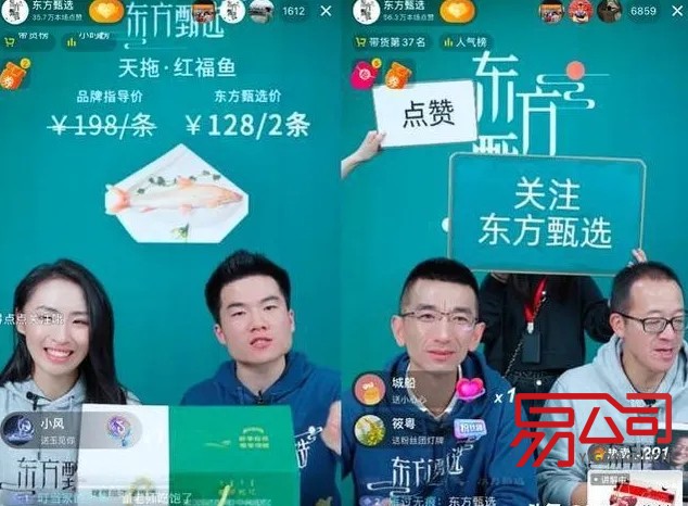 子公司和分公司的区别 分公司怎么注册(东方甄选已成立六家分公司) 子公司和分公司的区别 分公司怎么注册(东方甄选已成立六家分公司)